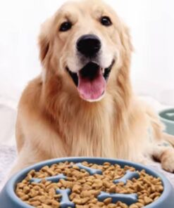 Anti-Bloat Non-Slip Slow Feeder Dog Bowl Puzzle