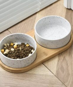 Easy to Clean Ceramic Cat Bowl Set