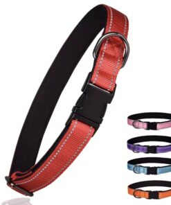 Durable Reflective Dog Collar