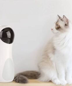Interactive Lazer Cat Toy