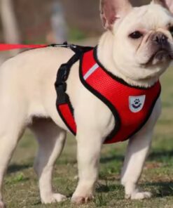 Reflective Pet Harness